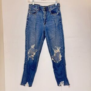 American Eagle Outfitters Women's Light Blue Straight Jeans